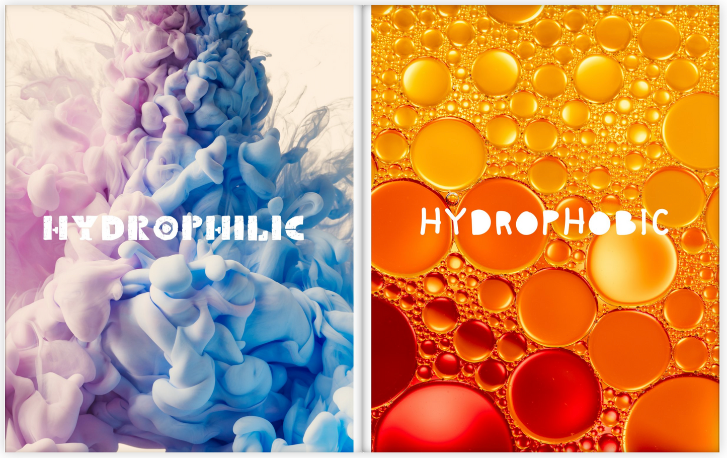 Katie & Anastasia's Amazing Book of Science Words