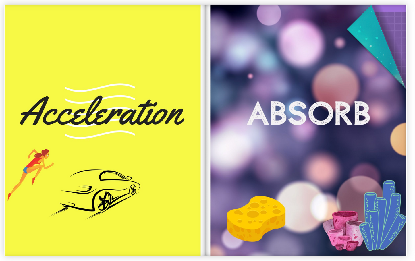 Katie & Anastasia's Amazing Book of Science Words