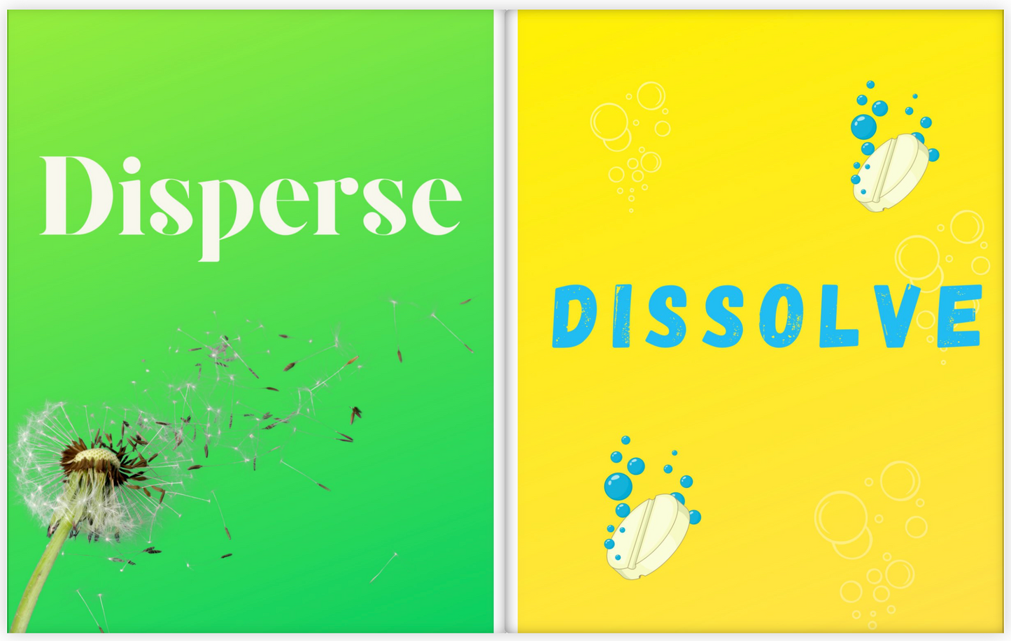 Katie & Anastasia's Amazing Book of Science Words