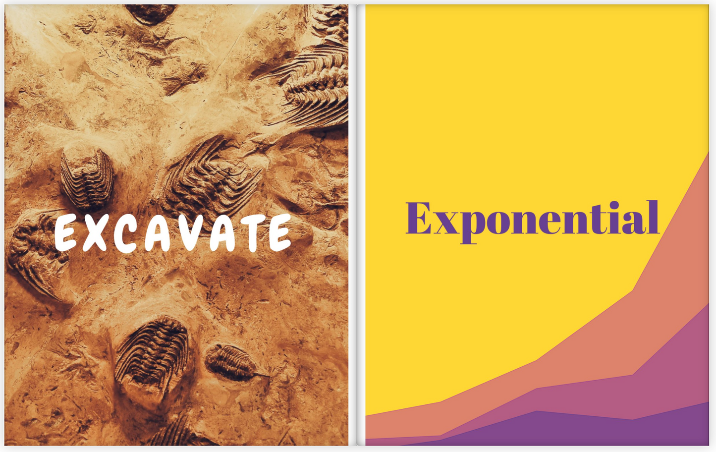 Katie & Anastasia's Amazing Book of Science Words