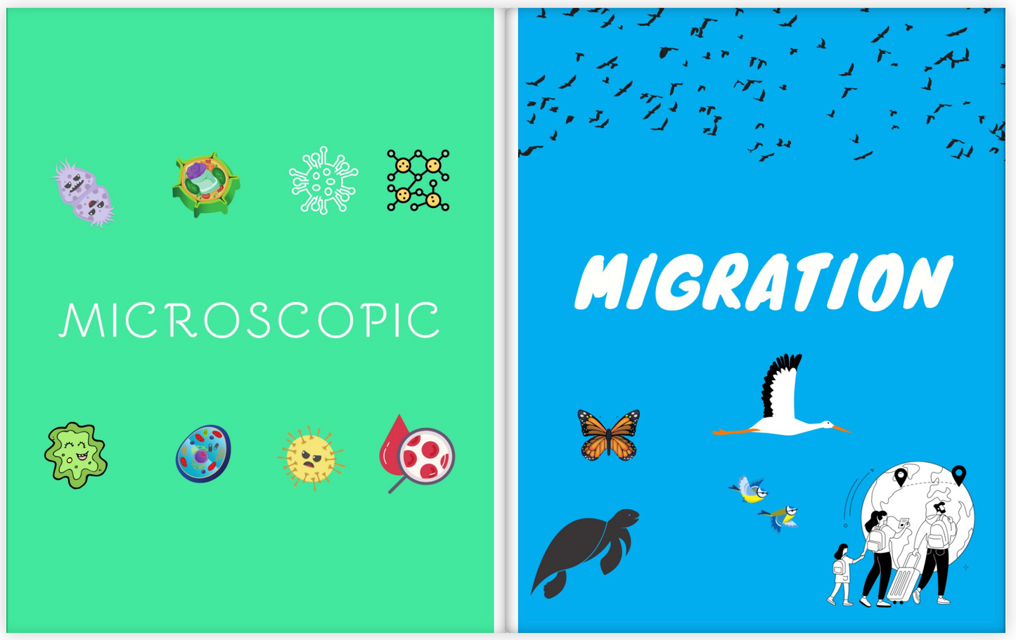 Katie & Anastasia's Amazing Book of Science Words