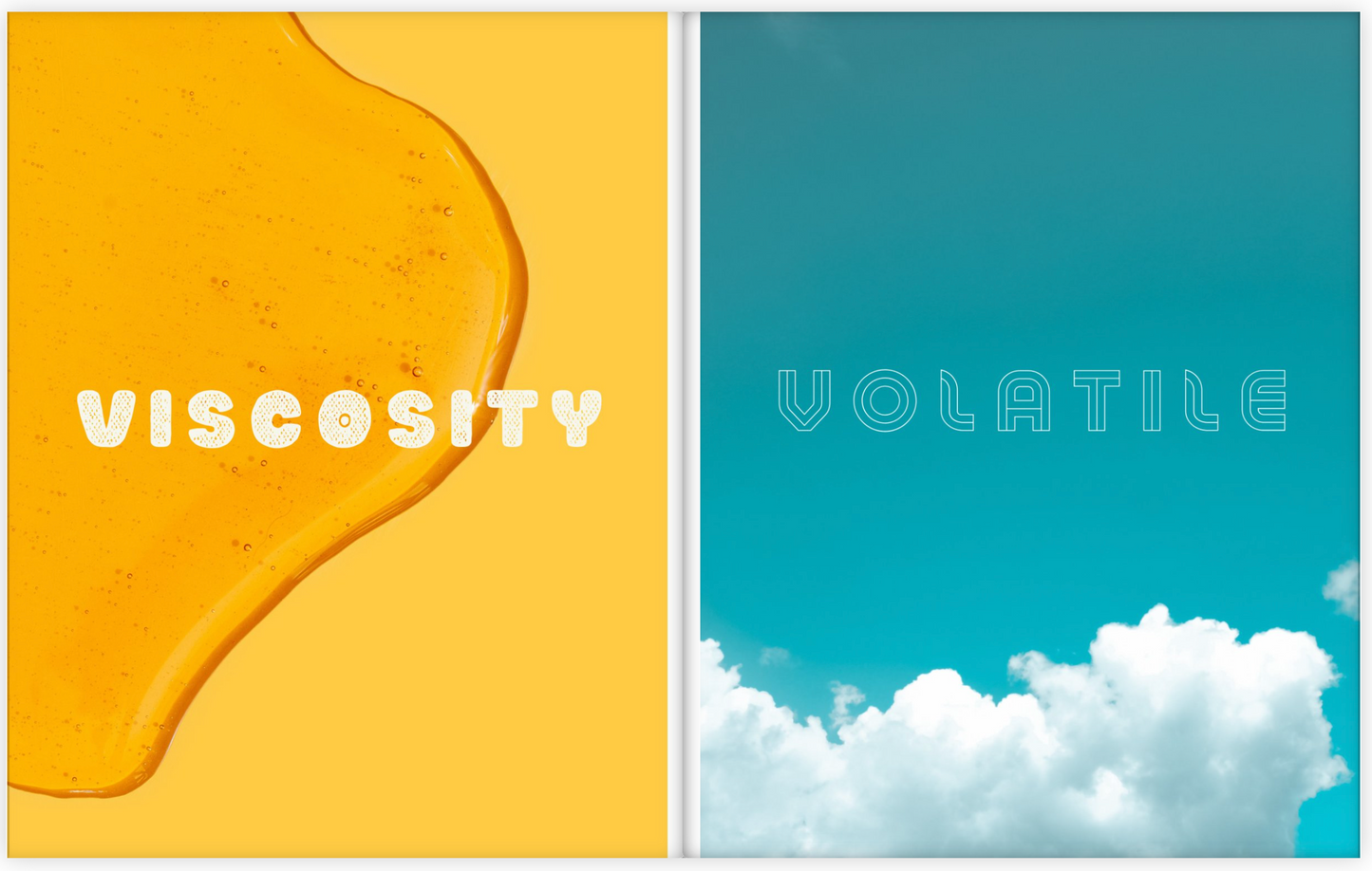 Katie & Anastasia's Amazing Book of Science Words