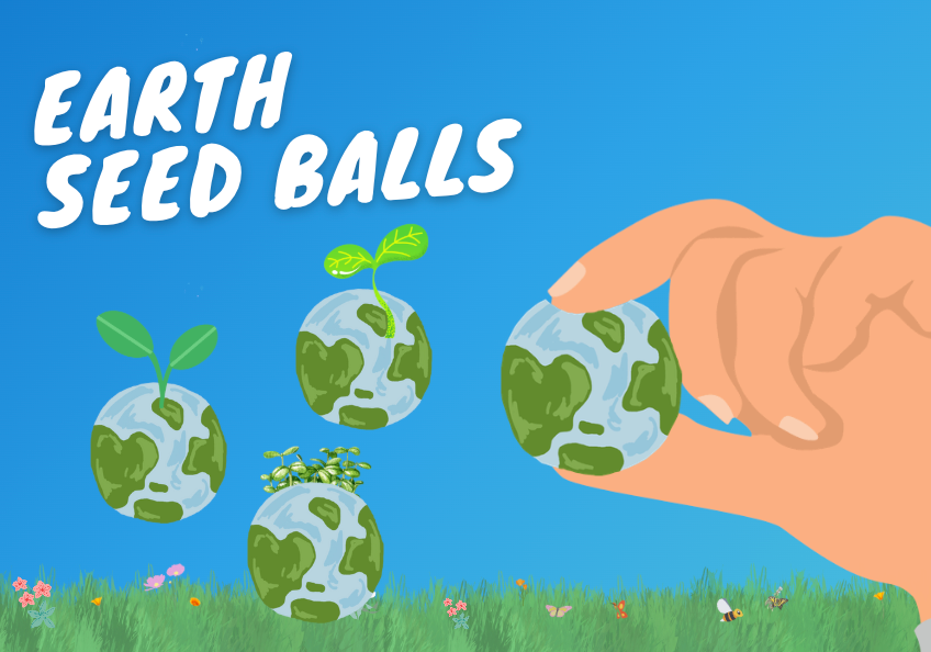 Earth Doctors 12 Week School Program - Early Bird Special* Starter Pilot